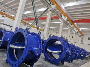 11 Kalite Valv Papiyon ak Karakteristik yo